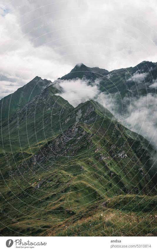 Mountain range in Switzerland summit chain Fog Clouds High fog Summer Hiking Green Landscape Nature Alps Freedom Deserted Peak Panorama (View) Far-off places