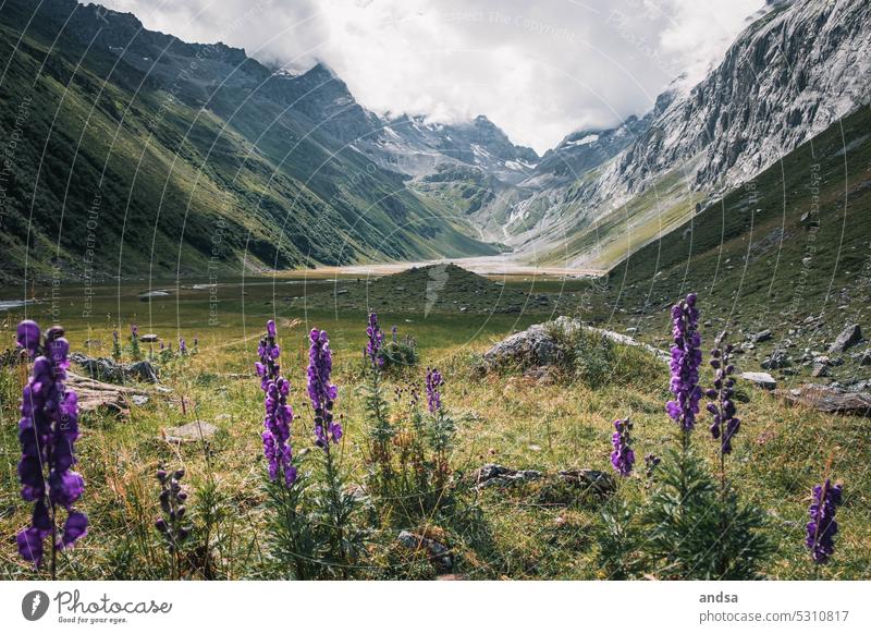 Plateau in Switzerland High plain mountains Peak Snow High mountain region Rock Gray Waterfall Vantage point Freedom Nature Landscape abyss Cliff Mountain Alps