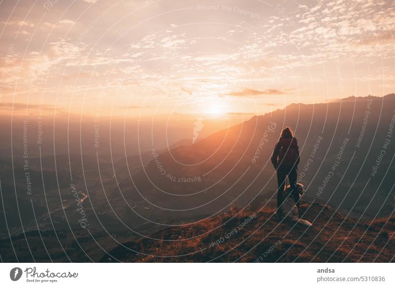 Sunrise in the Alps with dog and hiker wanderer Dog Australian Shepherd Relaxation Mountain Hiking Animal Pet Colour photo Exterior shot Purebred dog Cute