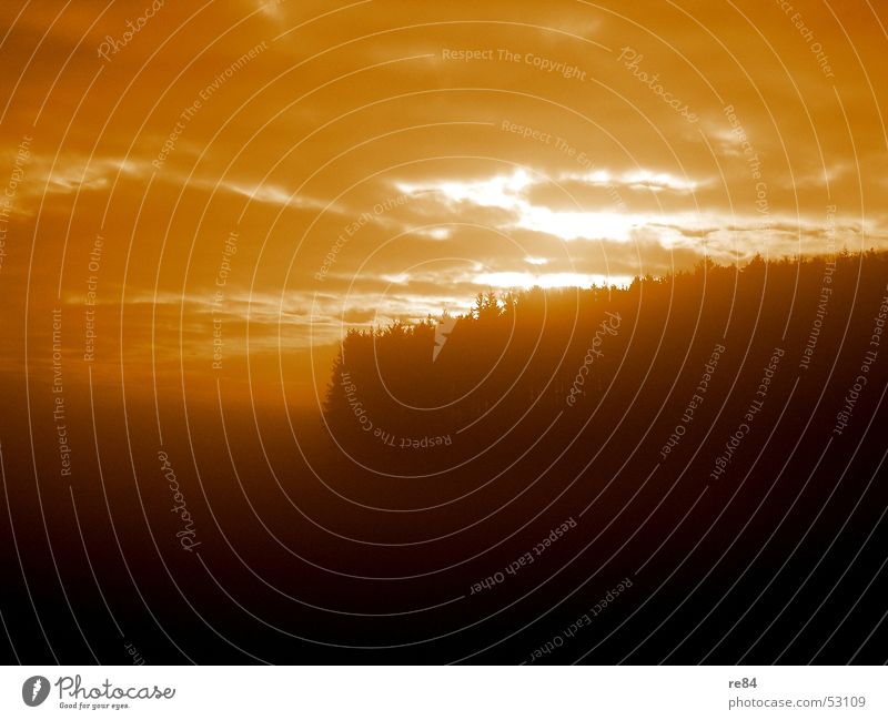 Mossautal - Impressions 3 Forest Light Dark Black Nibelungen Fairy tale Wood Tree Shadow Sun Stairs in addition to Orange Odenwald victory keeper siggy brunhild