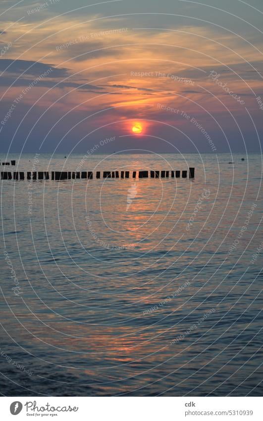 The dream of the sea | it comes slowly closer | sunset on the Baltic Sea. Ocean Baltic coast Beach Sky Nature Water Landscape Vacation & Travel Clouds Waves