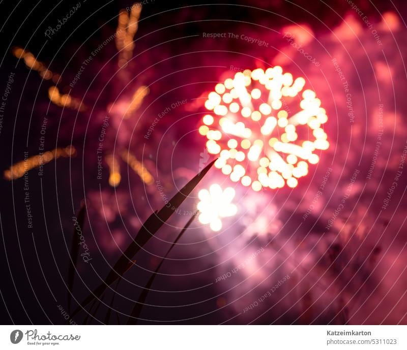 Firework like a flower firework art design element light red yellow celebration background party black night festival sparkle glowing dark fireworks bright