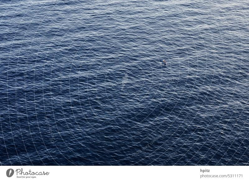 Boat in swell Swell Ocean Waves ocean Surface of water boat Blue