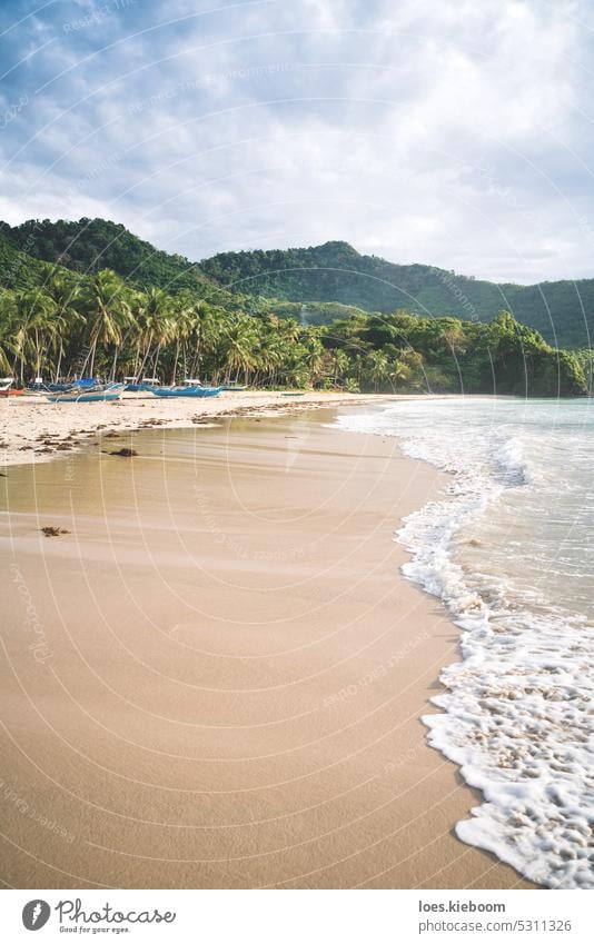 Sunset at sand beach with palm trees and ocean surf at El Nido bay, Palawan, Philippines philippines palawan wave island seascape shore tropical destination