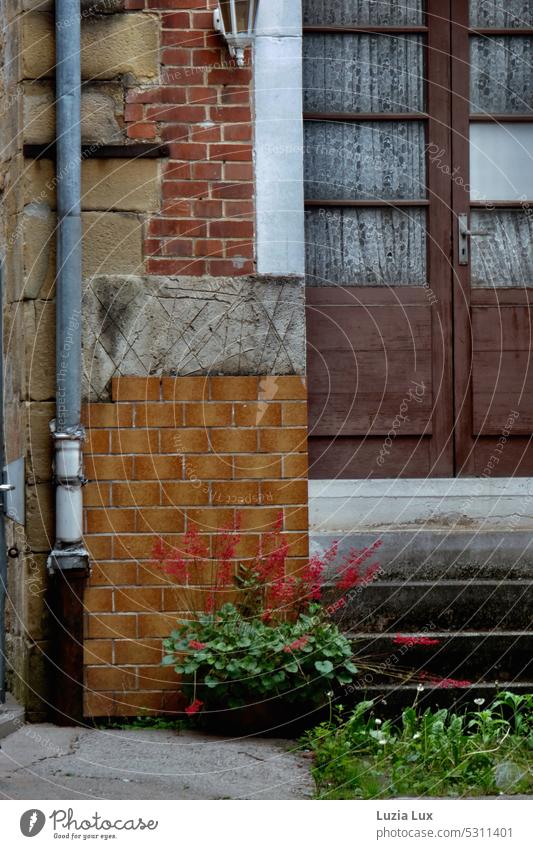 House entrance, stairs and all kinds of masonry together with gutter and flowering clinker variegated Bricks Closed Building House (Residential Structure)