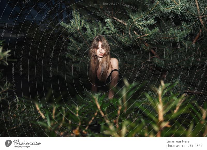 A hiding game with a gorgeous long-haired brunette girl. A model test of this beauty on a hot summer night. She’s hiding beneath green bushes. And being enlightened by a flashlight gracefully.