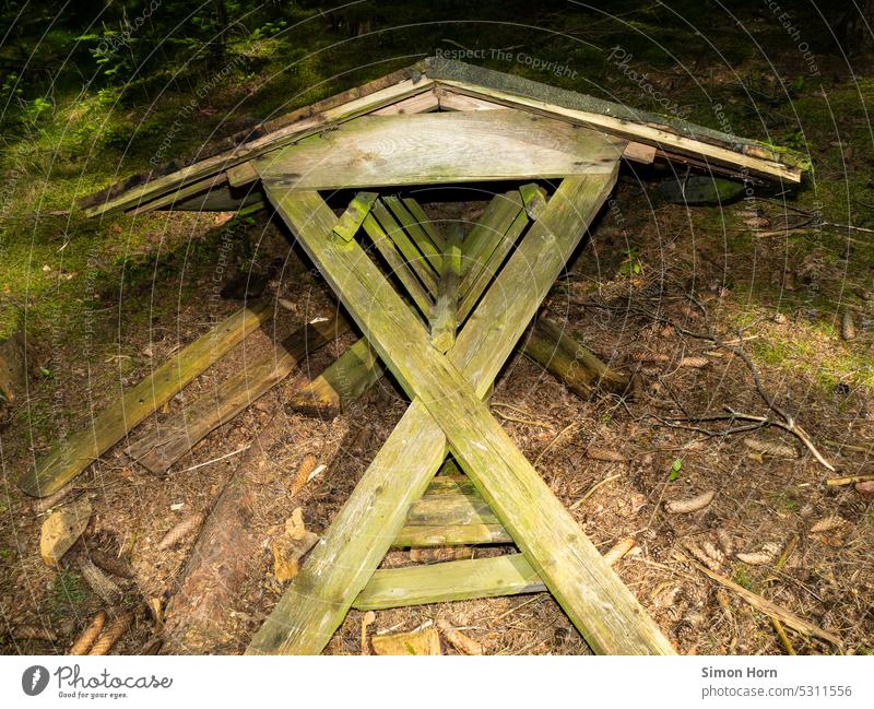 Feeding manger in the forest feed trough Forest Deer forest dwellers Wild animal Forestry Roe deer Forest Animals Food stand Hay rack feeding Woodground food