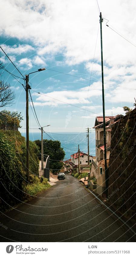 Madeira Island Portugal Hiking Nature Tourism Europe Portuguese destination vacation Landscape Vacation & Travel Outdoors voyage Tree Horizon madeira portugal