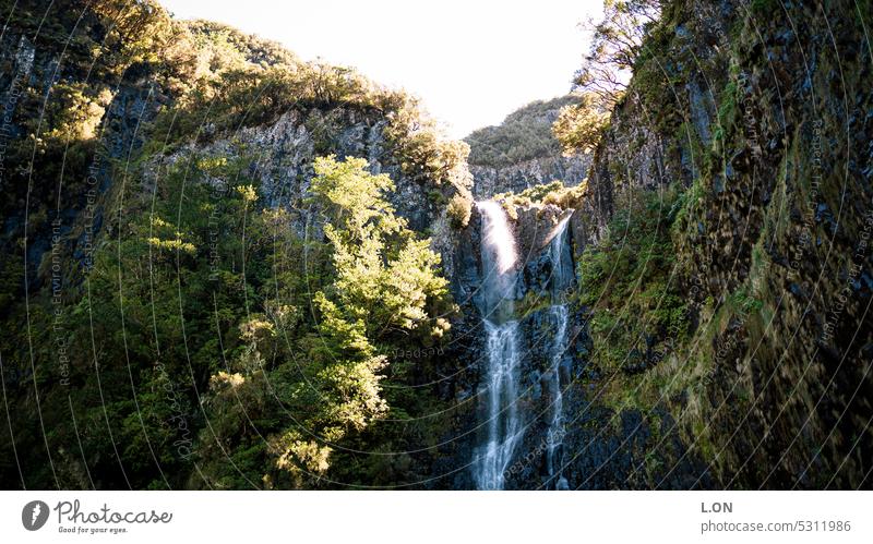 Madeira Island Portugal Hiking along the levadas artificial watercourse Levadas Channel Nature Tourism Europe Portuguese destination vacation Landscape