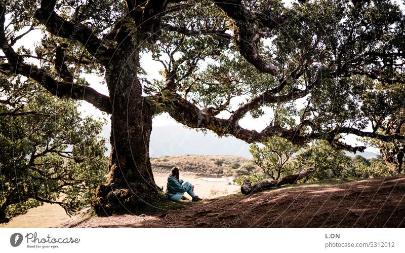 Madeira Island Portugal Hiking Nature Tourism Europe Portuguese destination vacation Landscape Vacation & Travel Outdoors voyage Tree Horizon