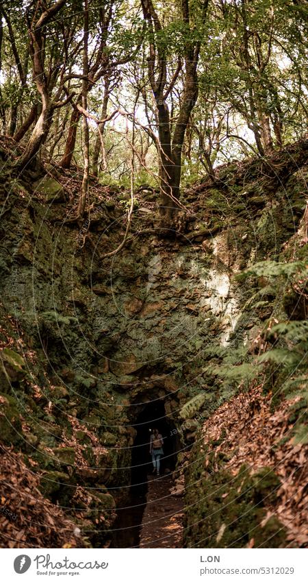 Madeira Island Portugal Hiking along the levadas artificial watercourse Levadas Channel Nature Tourism Europe Portuguese destination vacation Landscape