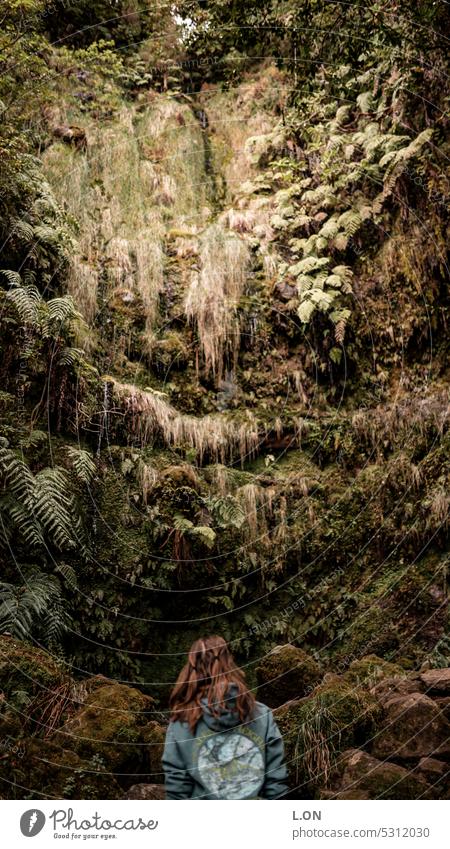 Madeira Island Portugal Hiking along the levadas artificial watercourse Levadas Channel Nature Tourism Europe Portuguese destination vacation Landscape