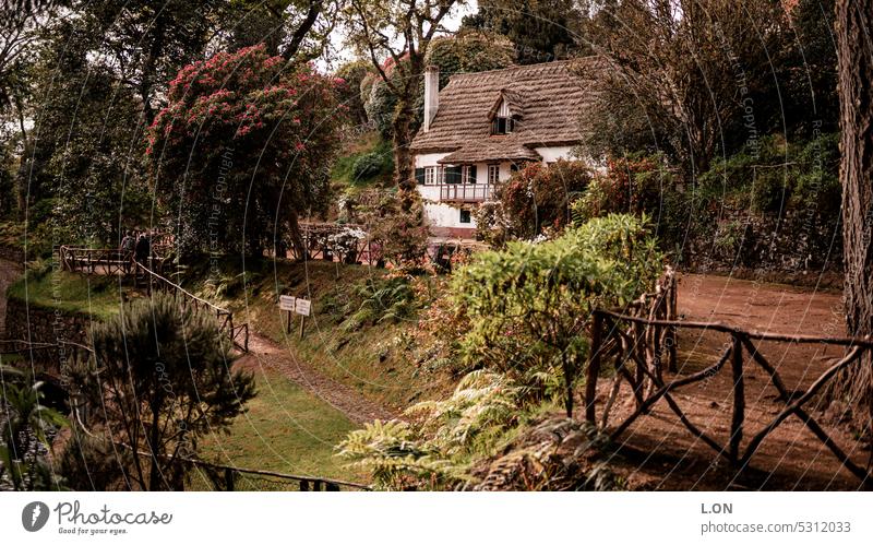 Madeira Island Portugal Hiking along the levadas artificial watercourse Levadas Channel Nature Tourism Europe Portuguese destination vacation Landscape