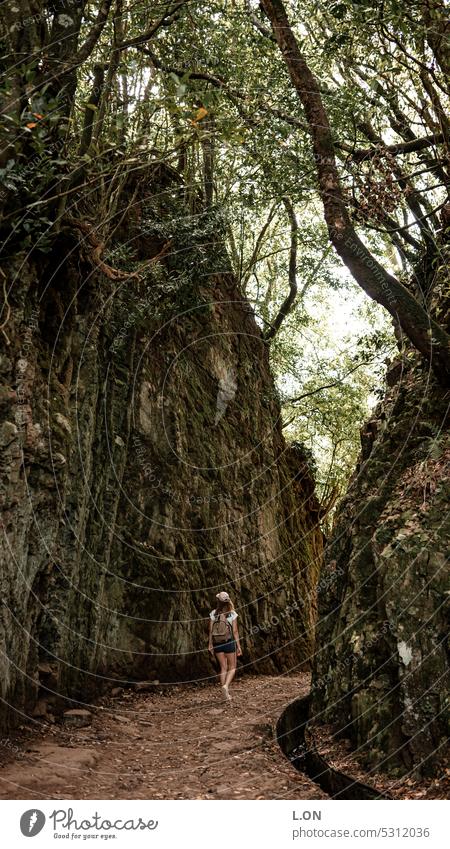 Madeira Island Portugal Hiking along the levadas artificial watercourse Levadas Channel Nature Tourism Europe Portuguese destination vacation Landscape