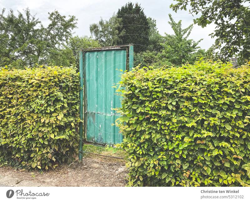 An old and rusted green garden gate blocks the access to the garden Garden door Hedge Goal Entrance Passage trees old garden gate Access Closed Safety Barrier