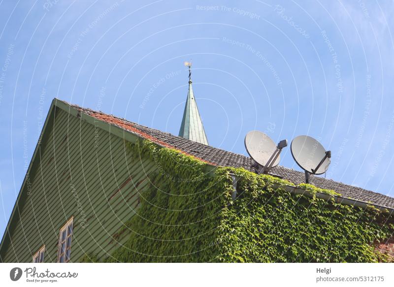 everything on reception - house facade overgrown with wild vines, roof with 2 satellite dishes, a church steeple juts out behind them