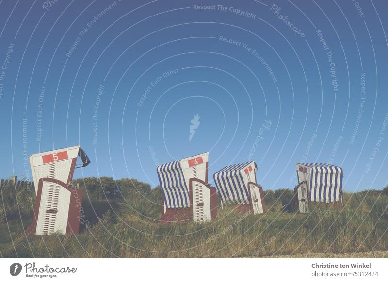 Four beach chairs stand in the dune grass and invite you to rest Grass Sky Vacation & Travel Nature North Sea Relaxation North Sea coast tranquillity Deserted