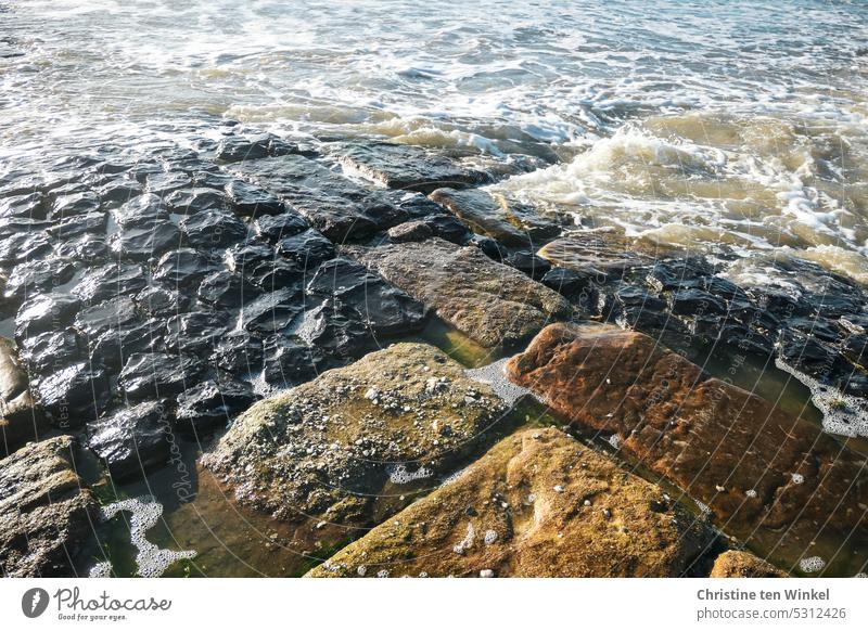 Stone groyne in the North Sea Break water stone groyne Stone fill North Sea coast stones Water Ocean Nature Glittering Wet Glimmer shine Reflection breakwater