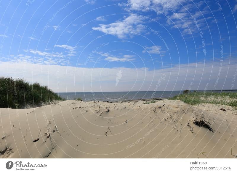 View over a dune on the island Borkum to the North Sea Island duene Grass Sand vacation Beach Ocean Lake ocean Horizon holidays sunny cloudy Sky Blue Relaxation