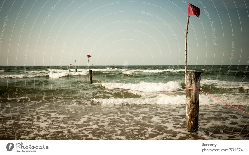 Shared surf Vacation & Travel Tourism Summer Beach Ocean Island Waves Swimming & Bathing Nature Plant Water Sky Cloudless sky Coast North Sea Juist island Flag