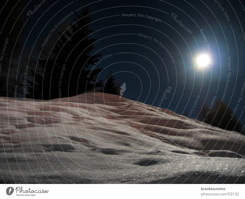 Sister Moon Night Full  moon White Fir tree Night shot Long exposure Hill Switzerland Canton Graubünden Winter Snow Landscape Lamp Glittering Mountain