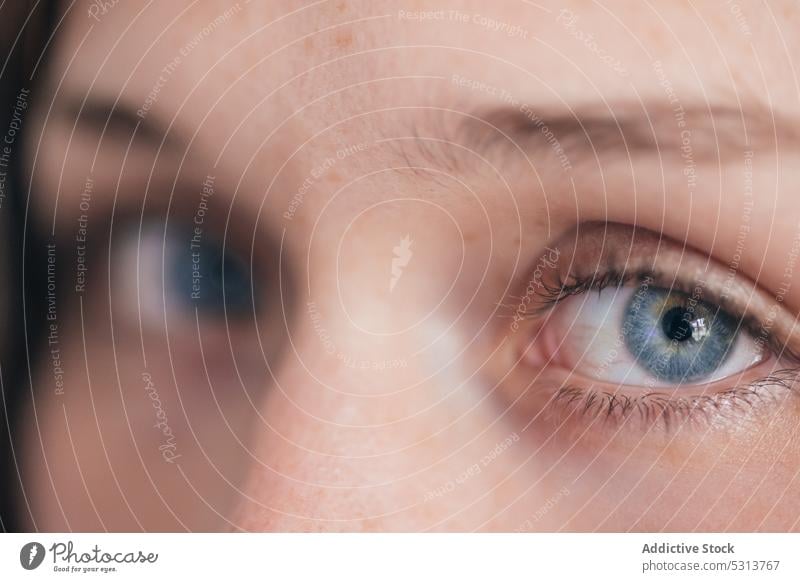 Closeup of woman blue eyes eyelashes freckle beauty eyebrow feature appearance charming female young gaze tender peaceful calm natural gentle personality serene