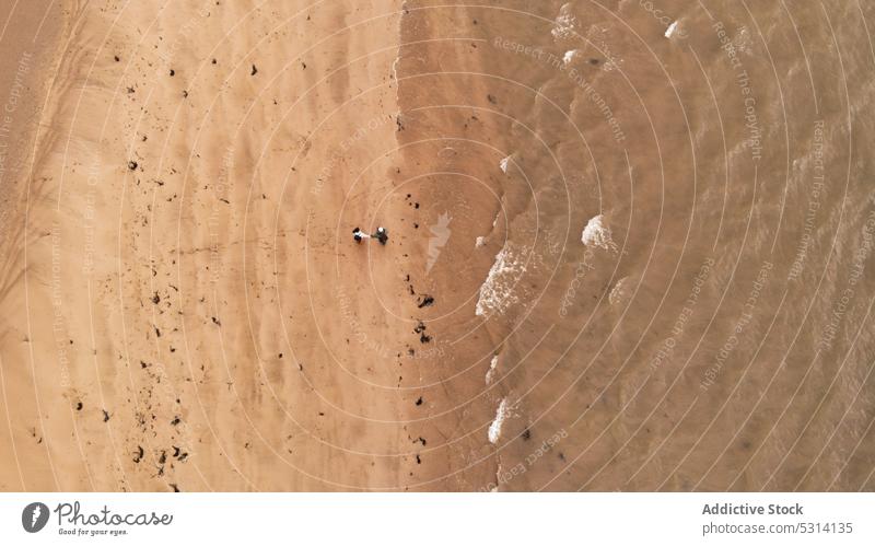 Drone view of unrecognizable persons in sandy beach near ocean coast shore foam wavy wave ireland nature coastline sea seascape seaside seashore water sunlight