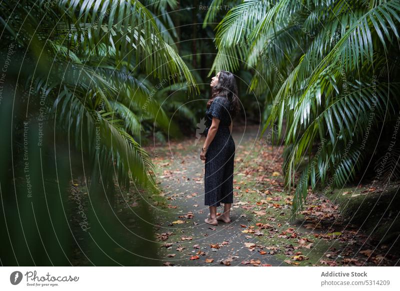 Woman standing in tropical garden with palm trees woman summer park nature barefoot casual girl azores portugal walkway pathway stroll calm idyllic relax plant