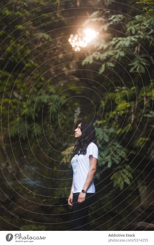 Woman standing on fallen tree trunk woman forest balance nature azores region mountain female water tourist summer traveler landscape trip journey green tourism