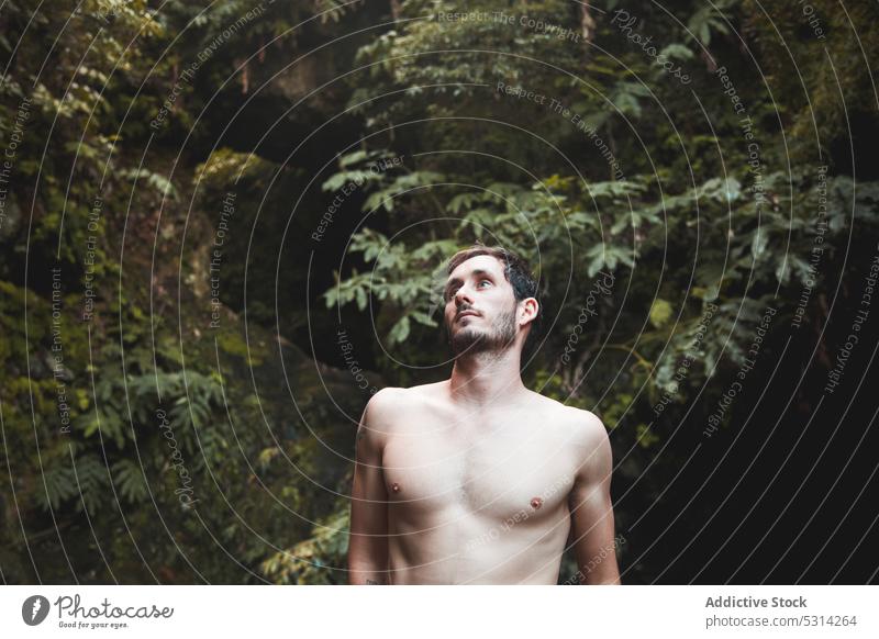 Young man standing on fallen tree trunk leaf nature forest summer azores region green foliage plant park environment countryside flora autumn male greenery