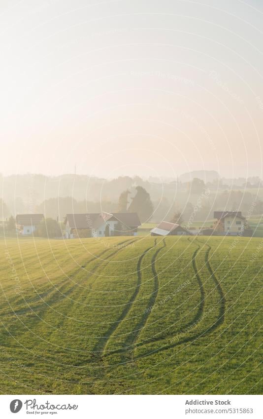 Green empty field near village in sunlight furrow house hill fog landscape scenery countryside nature idyllic harmony hillside narrow path sky tree mist rural