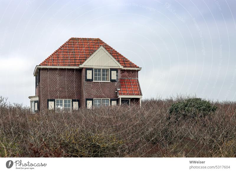 A pretty vacation home rises out of the undergrowth of a small forest on the coast House (Residential Structure) Country house Apartment Building Vacation home