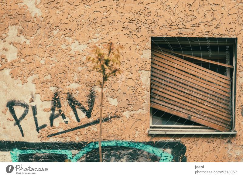 Is there a renovation plan? Roller shutter Decline Old Broken House (Residential Structure) obliquely Structures and shapes Transience Derelict Change Building