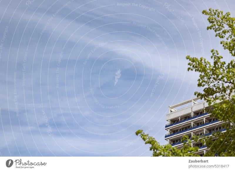 Blue sky with cirrus clouds, skyscraper and tree Sky Cirrus Clouds High-rise Tree Looking Air Tall Weather Background picture Town