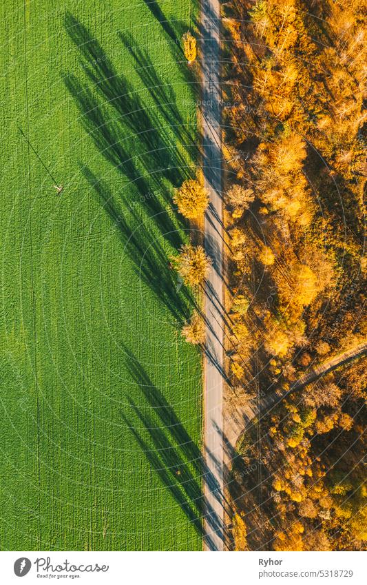 Aerial view of highway road through green field and autumn yellow forest landscape. Top view flat view of highway motorway freeway from high attitude. Trip and travel concept. Vertical photo