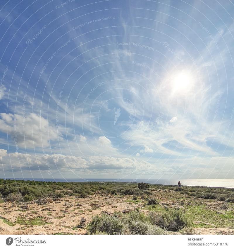 Balearic Islands Formentera Cap de Barberia and Mediterranean Sea Calm Landscape Sunlight Nature Deserted Colour photo Exterior shot Summer tranquillity