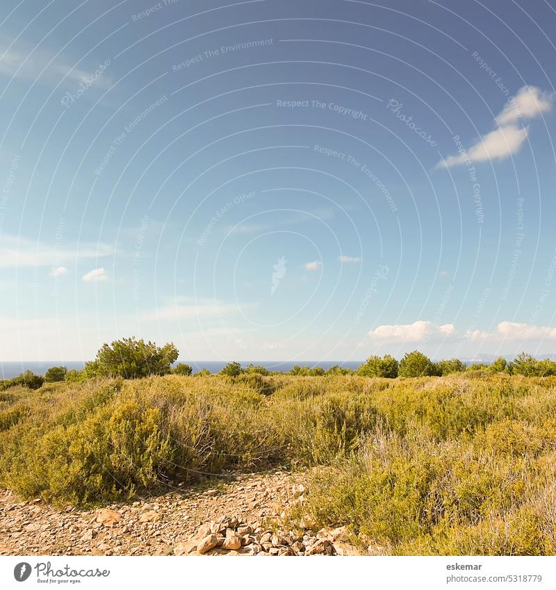 Balearic Islands Formentera Cap de Barberia and Mediterranean Sea Calm Landscape Sunlight Nature Summer Exterior shot Colour photo Deserted tranquillity