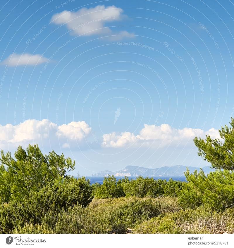 Balearic Islands Formentera Cap de Barberia and Mediterranean Sea with Ibiza in background Ocean Beach Summer Water Sun Nature Sky Spain coast Landscape