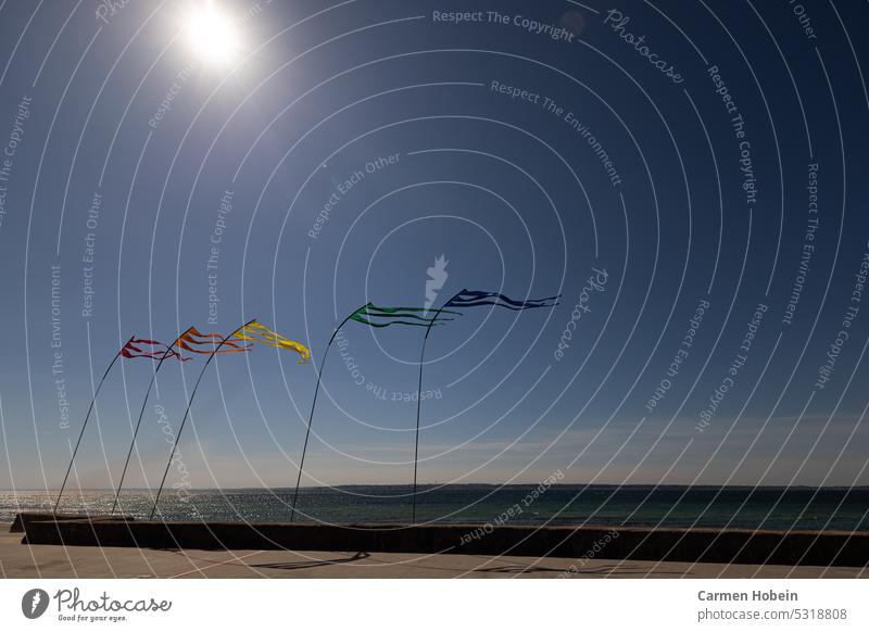 colorful flags in the wind with the bright sun in the blue sky with sea in the background Flag variegated Sky Blue Wind windy Ocean Wall (barrier) Day Nature