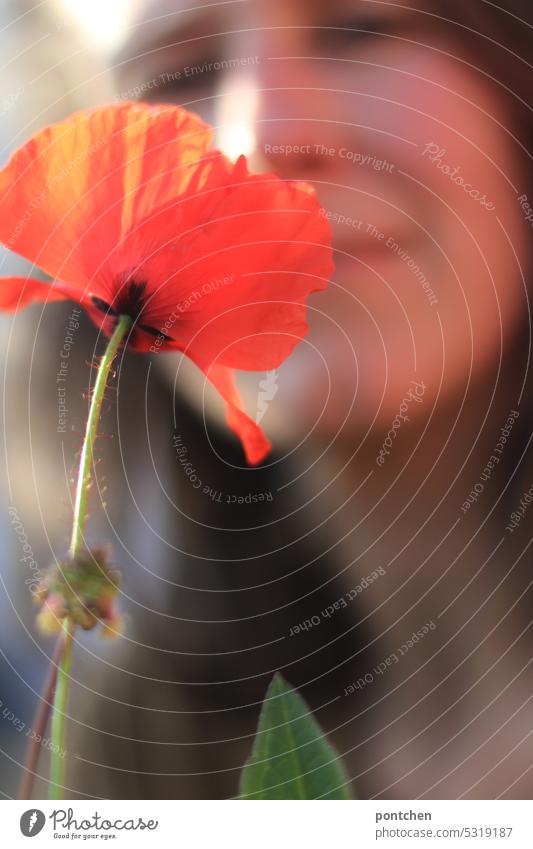 a woman sticks her nose into a poppy blossom Poppy blossom Corn poppy Woman background blurred Flower Nature Plant Exterior shot Red Blossom red poppy Sunlight