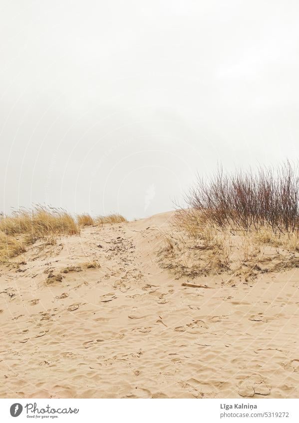 Sand dune beach landscape with sky, summer vacation at beach sand dune Vacation & Travel Nature Beach Beach dune Desert Sandy beach Colour photo Landscape coast