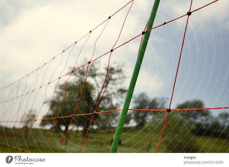 Electric pasture fence Willow tree Fence Pasture fence Exterior shot Grass Meadow trees Landscape Nature Green Deserted Agriculture Fence post Environment