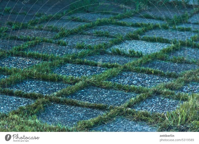 Sidewalk slabs with gap vegetation Evening Dark Twilight holidays spring Garden Hedge allotment Garden allotments Deserted neighbourhood Nature Plant