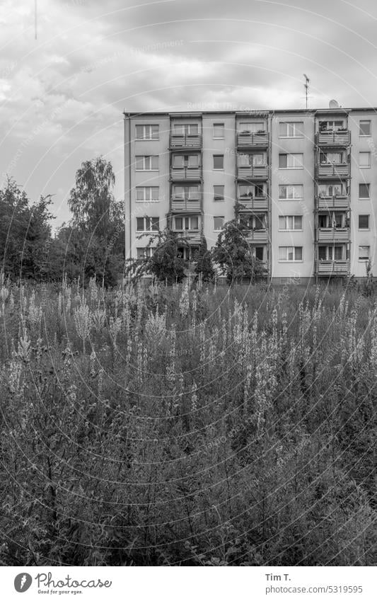 an old new building in Bernau near Berlin Old building b/w Spring bernau Apartment Building Balcony Window Sky Black & white photo Architecture Day