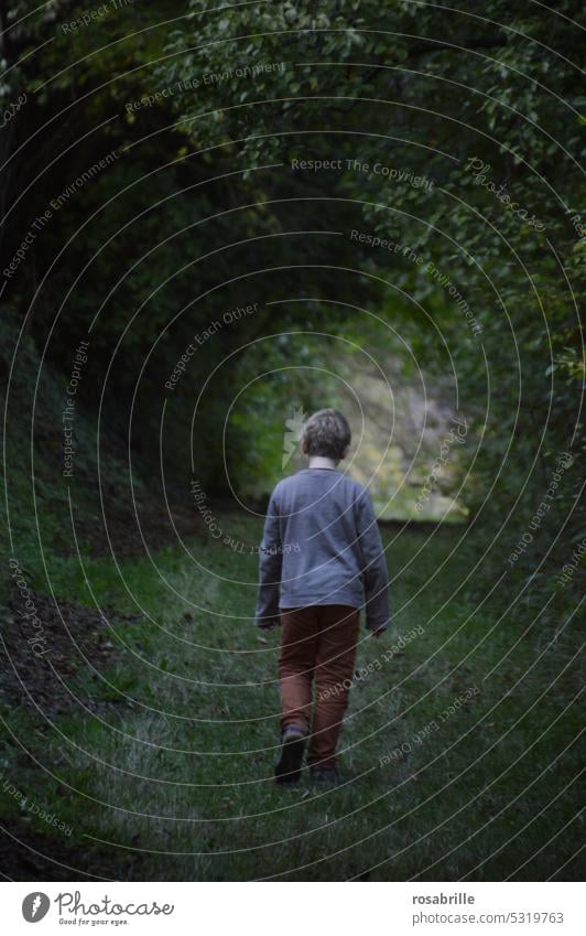 through this hollow alley - little boy alone in the dark hollow path at nightfall ravine Boy (child) Child on one's own Eerie nightfall burglary Twilight Going