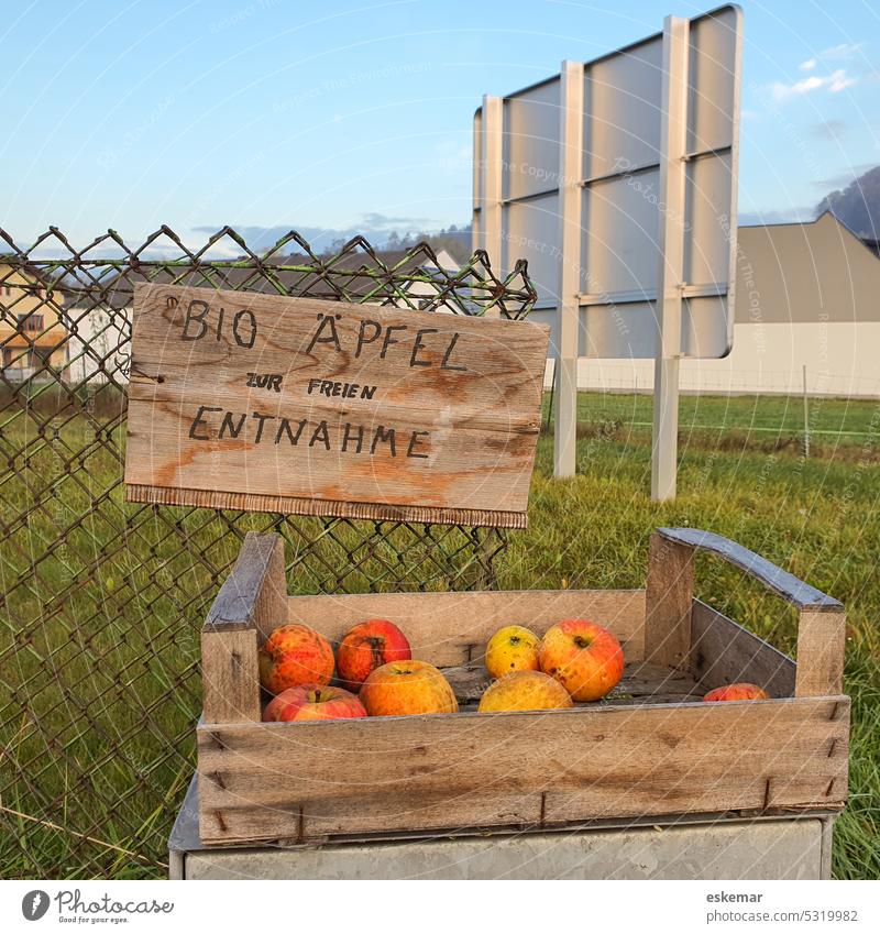 Organic apples to give away organic Gift Free of charge Free-of-charge nobody Deserted Apple Food writing Fruit Fresh Apple harvest Juicy Red fruit