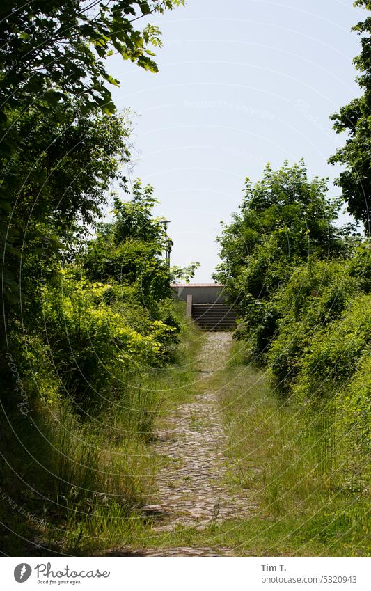 an old street in disappeared Küstrin Kystrin Fortress Castle Historic Exterior shot Old Landscape Deserted Tourism Colour photo Tourist Attraction Cobblestones