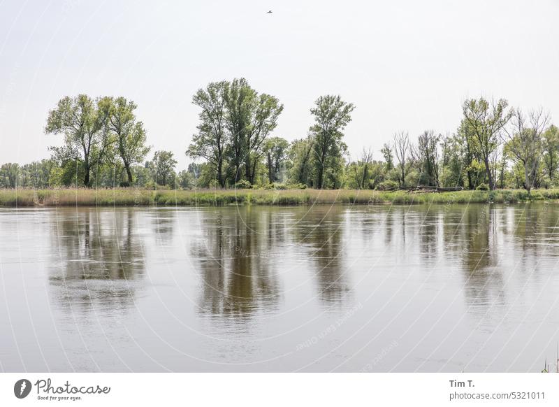 on the river Oder in spring River Poland Kystrin Spring Water Landscape Sky Nature Brandenburg Border Reflection