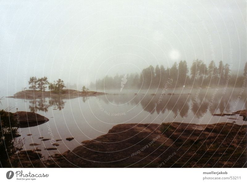 Morning fog 2 Fog Bad weather Clouds White Lake Forest Calm Loneliness Mirror image Sky Blue Water Sweden Island Far-off places Smoothness