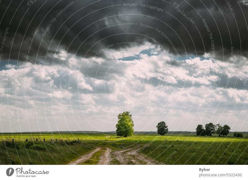 Dramatic Dark Sky On Horizon Above Rural Landscape Meadow. Heavy Rain Clouds Sky Above Grassland. Dramatic Sky With Clouds Above Countryside Rural Field. Soft Colors. Copy Space